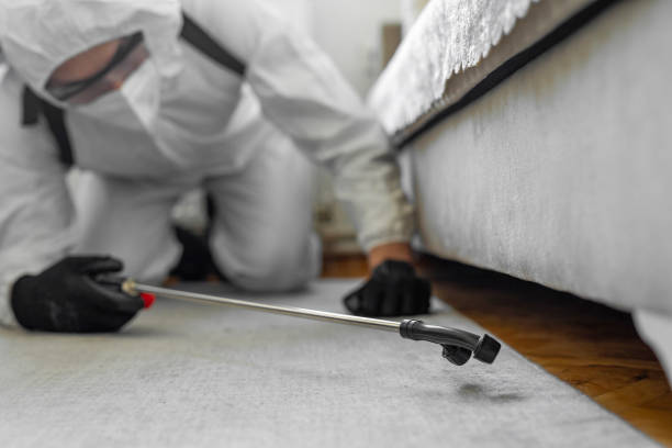 Professional Bed Bug Control technician working in Auburn, KS