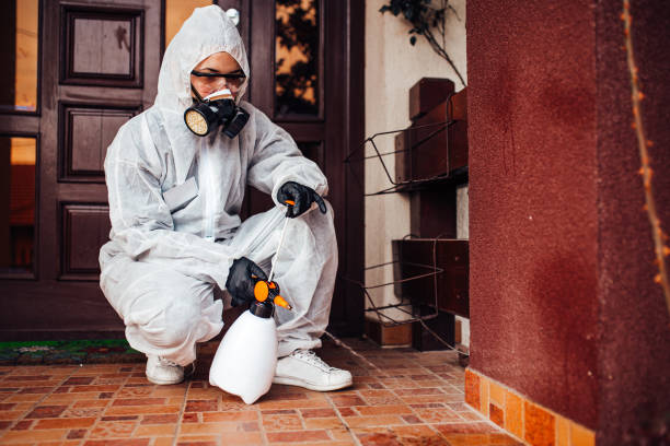 Reliable Bed Bug Control contractor in Auburn, KS by Nex Pest Control